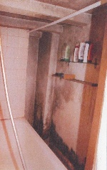 mouldy_bathroom__2_